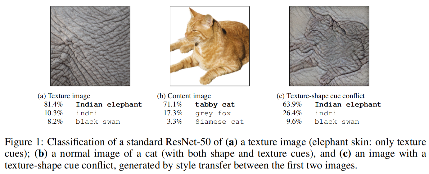 texture-vs-shape hero image