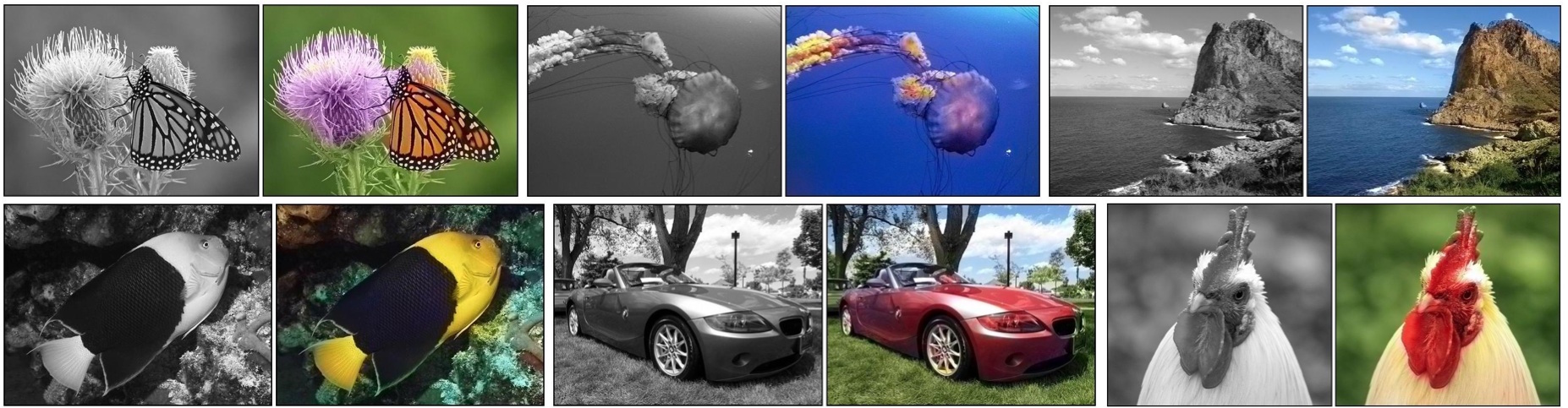 colorization hero image