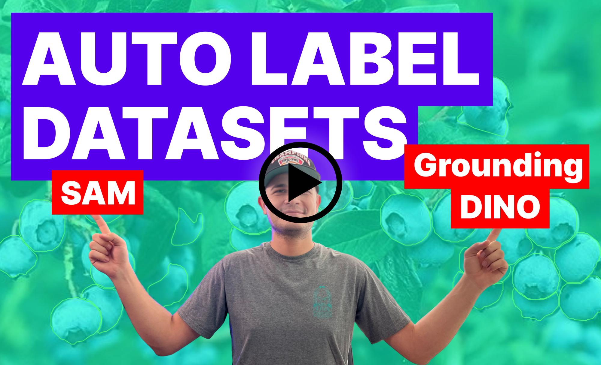 使用SAM和Grounding DINO加速图像标注