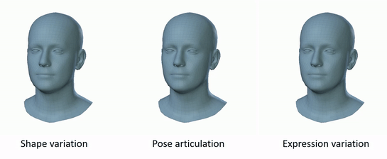 FLAME_PyTorch hero image