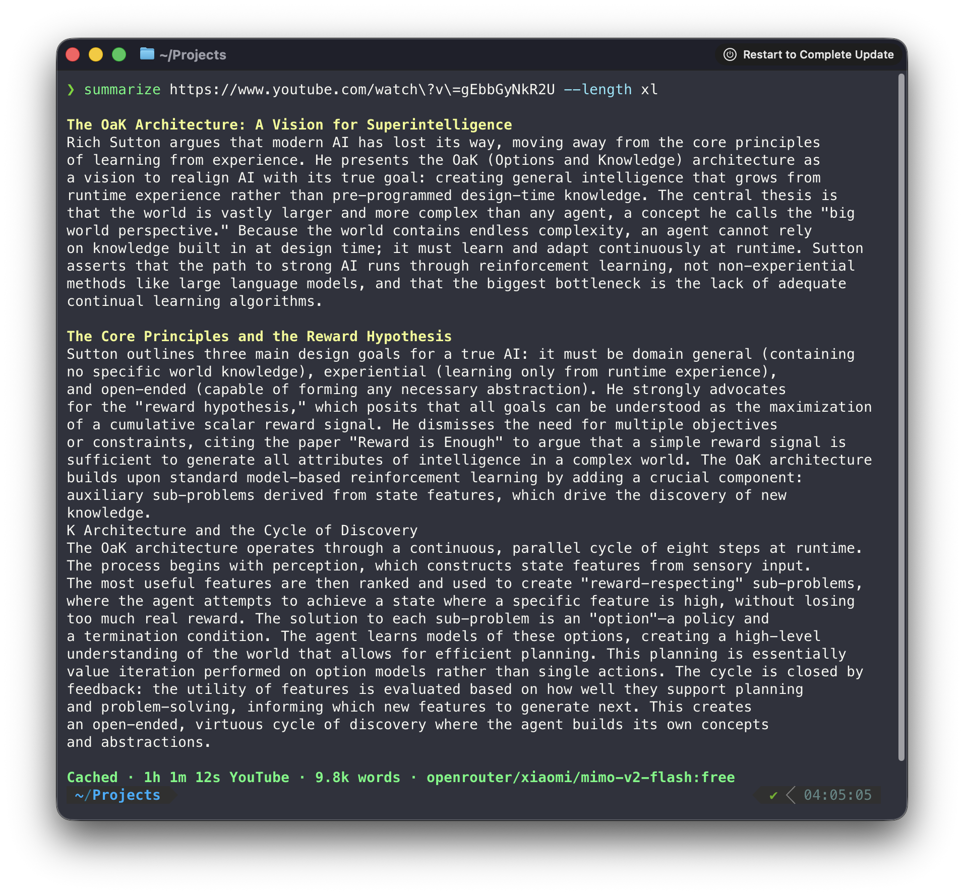 Summarize CLI 截图