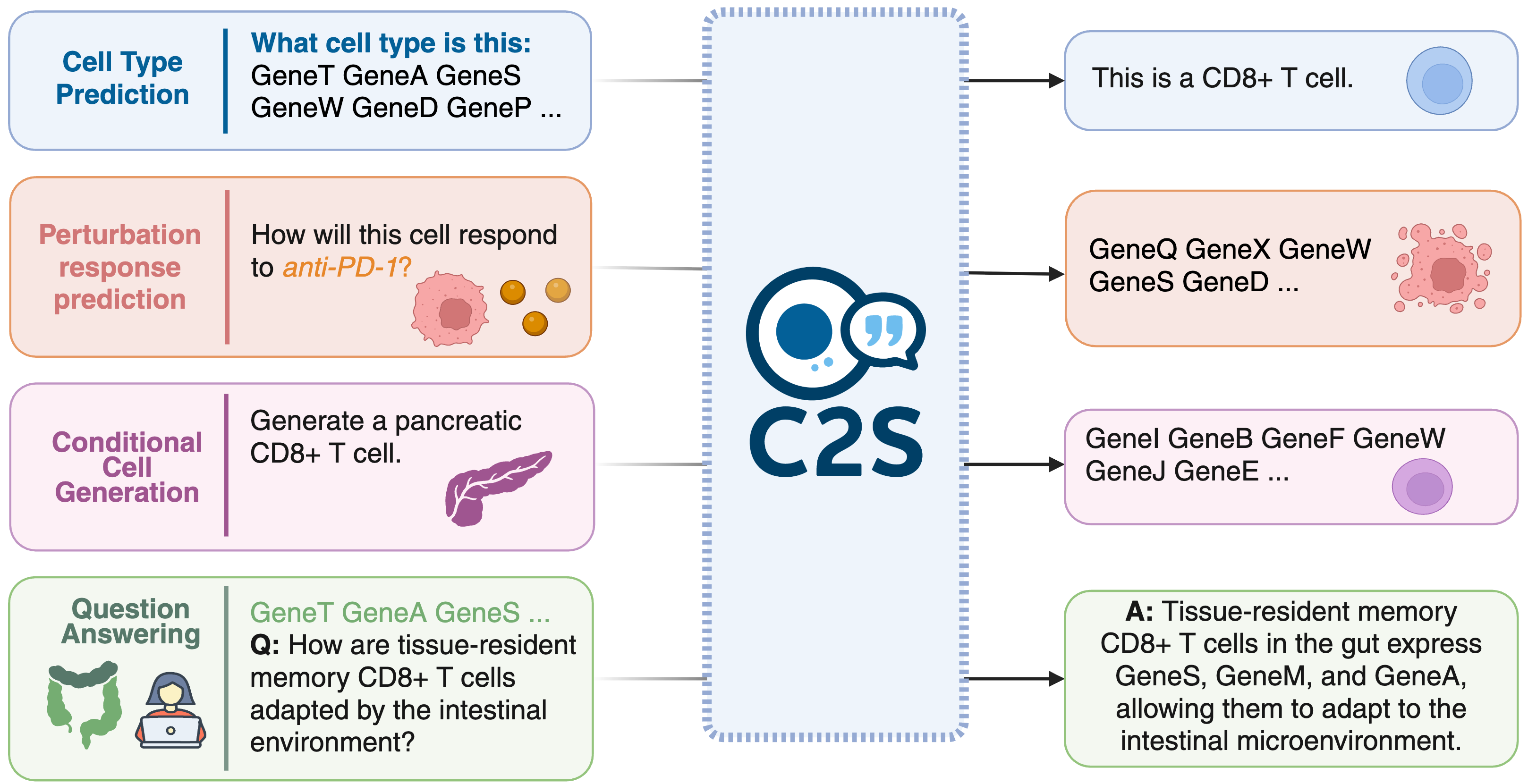 cell2sentence hero image