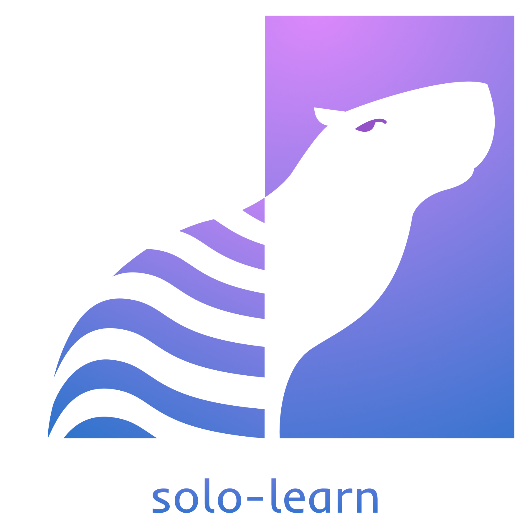 solo-learn hero image