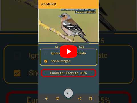 whoBIRD hero image